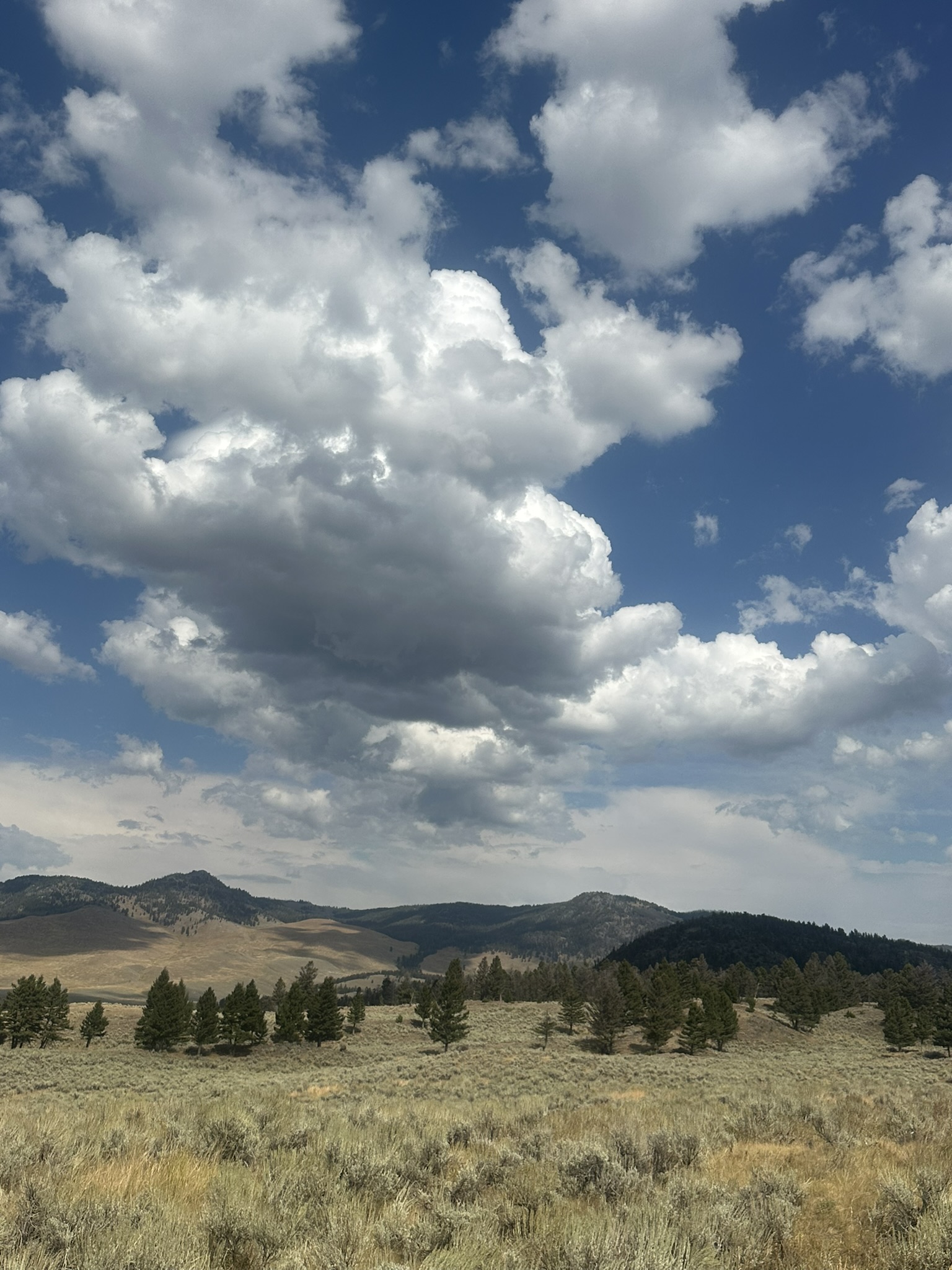 Yellowstone And Grand Teton National Parks - Image 763